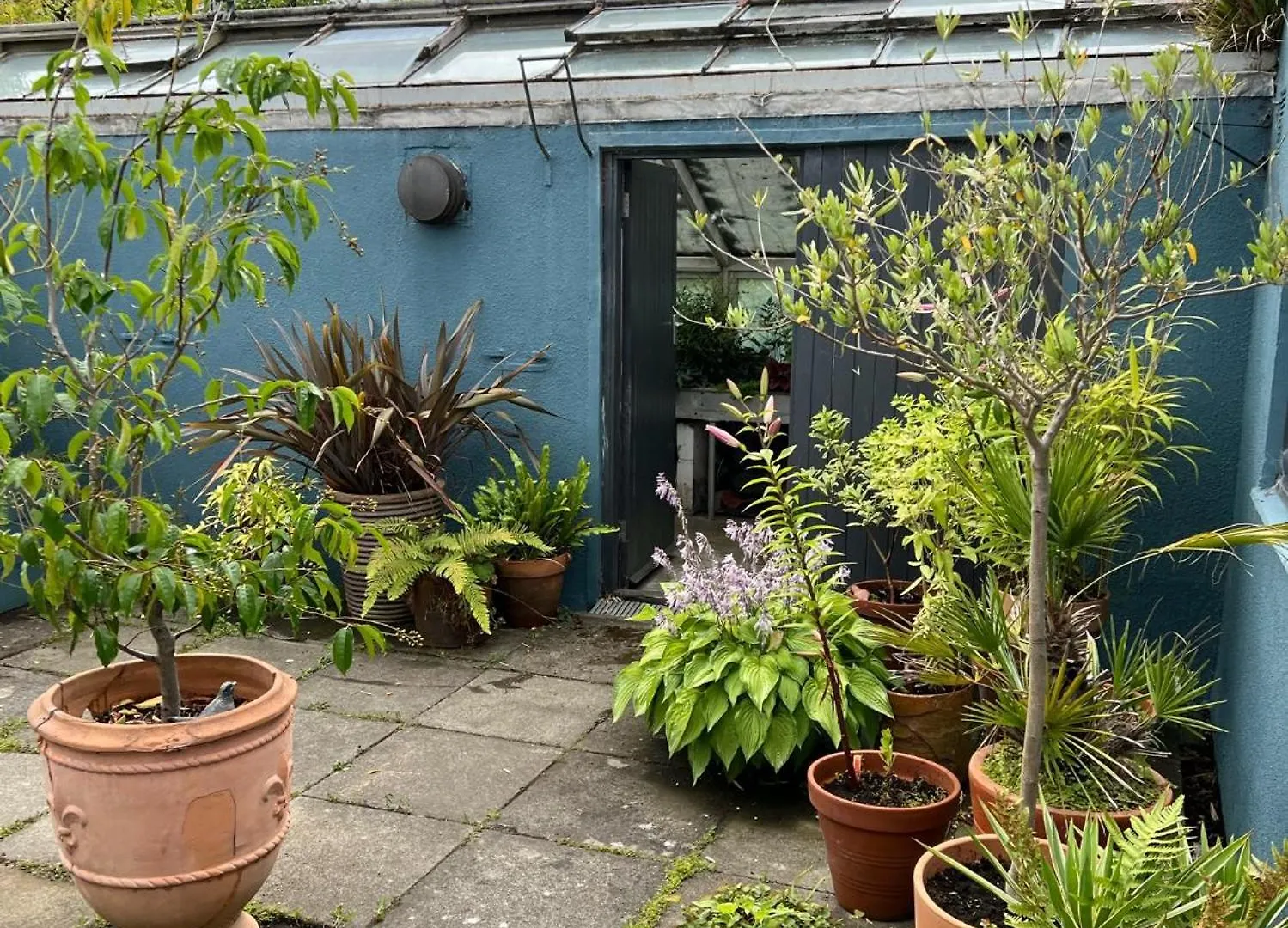 Holiday home Suntrap House Edinburgh Villa